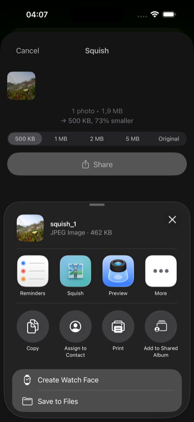 Compressed photo ready to share with file size shown as 462 KB